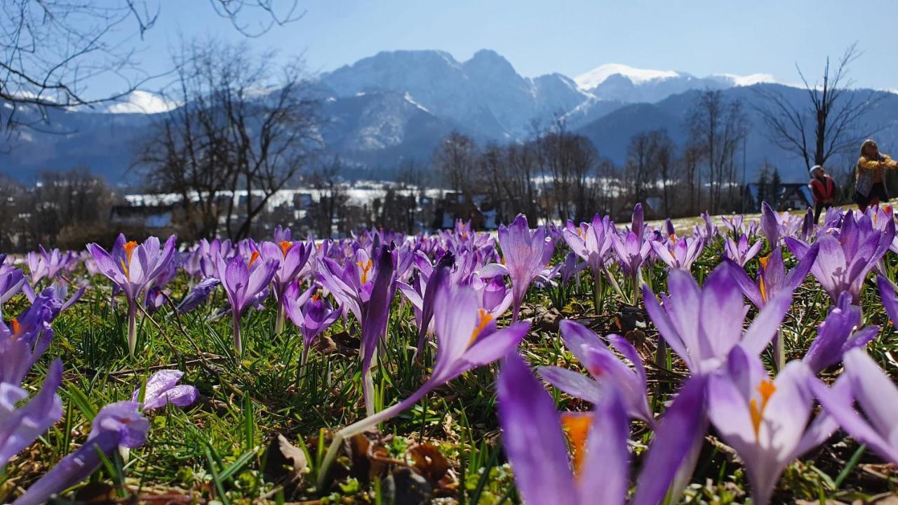 Pokoje Widokowe Szymaszkowa Zakopane Buitenkant foto